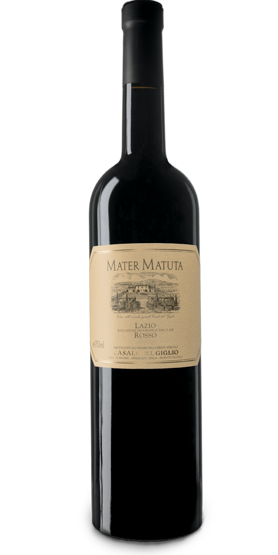 MATER_MATUTA